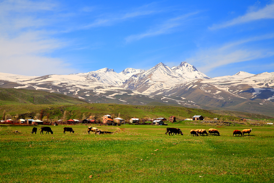 nui armenia