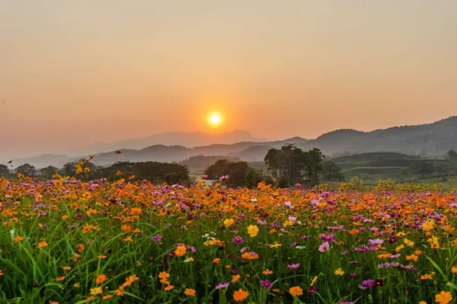 ที่พักเชียงราย
